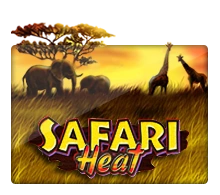 Safari Heat - MEGABET808