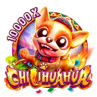 CHILIHUAHUA - MEGABET808