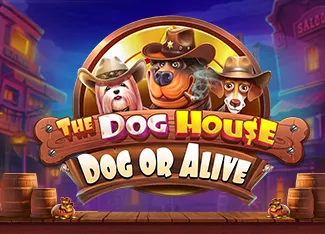 The Dog House - Dog or Alive - MEGABET808