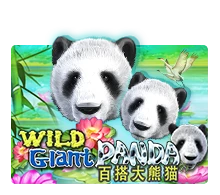 Wild Giant Panda - MEGABET808