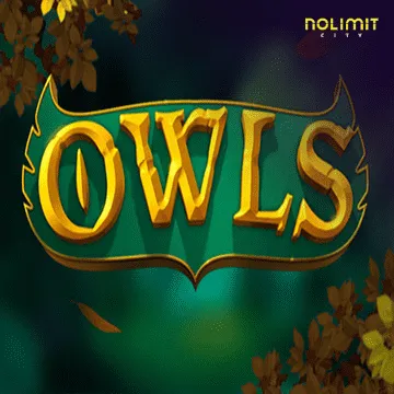 Owls - MEGABET808