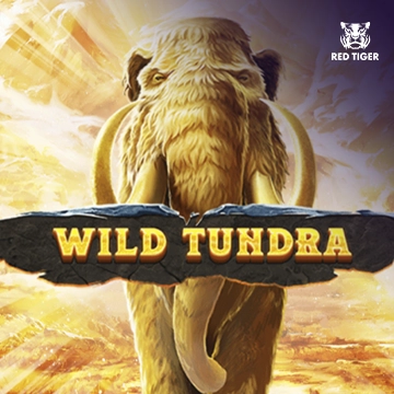 Wild Tundra - MEGABET808
