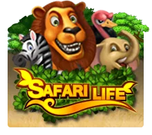 Safari Life - MEGABET808