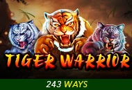 Tiger Warrior - MEGABET808