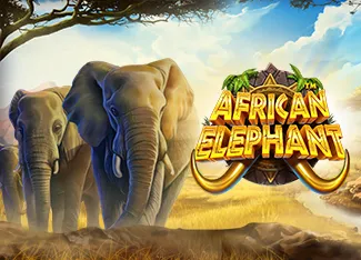 African Elephant - MEGABET808